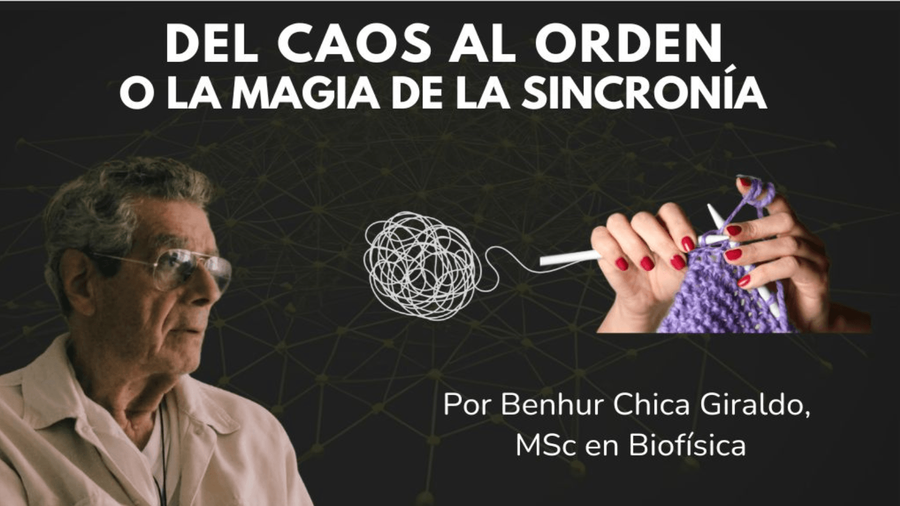 Del Caos al Orden